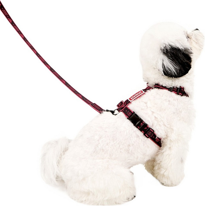 키니키니 T1 강아지 시그니처 로고 H형 하네스, 블랙, 1개