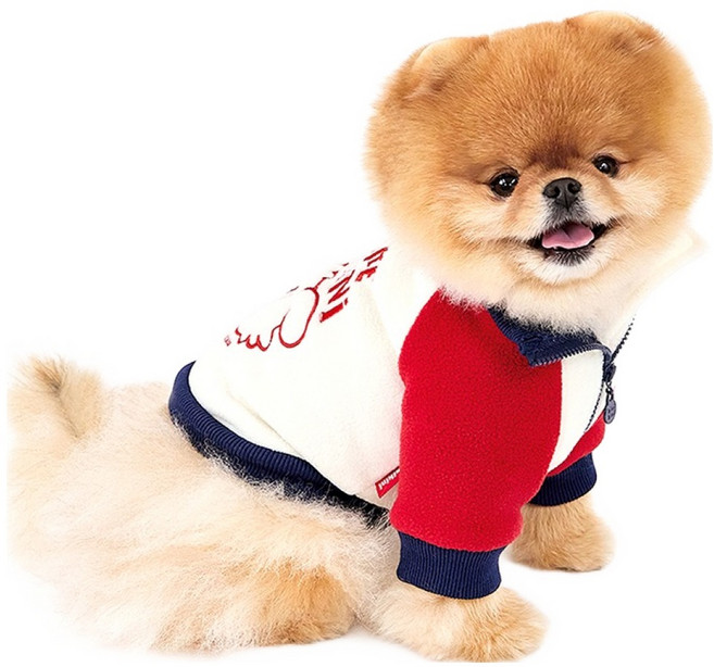 키니키니 강아지 레키 위 아 키니키니 집업, 아이보리, 1개