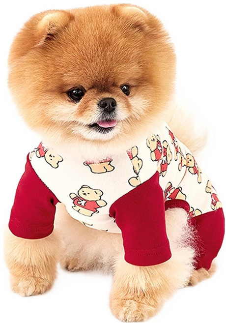 키니키니 반려동물 코비 모션 패턴 올인원, 레드, 1개