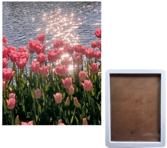 포즈샤인 3D DIY 플라워 보석십자수 캔버스형 + 내부프레임 30 x 40 cm 세트, FLOWER2, 1세트