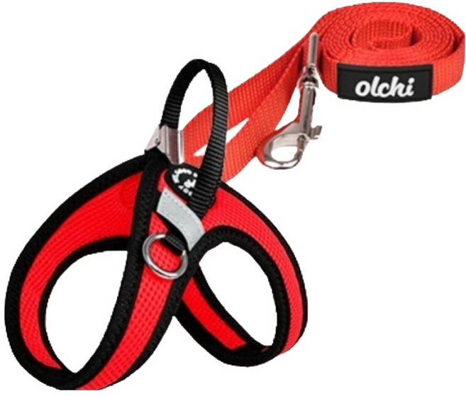 올치 강아지 산책 콤비V 스트링 하네스 + 리드줄 세트 HV6049, 레드, 1세트