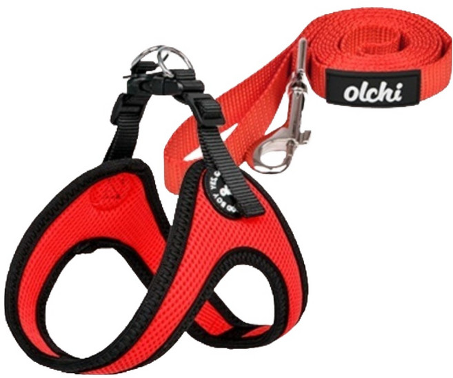 올치 강아지 산책 콤비V 버클 하네스 + 리드줄 세트 HV6046, 레드, 1세트