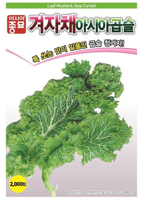 아시아종묘 씨앗 겨자 아시아곱슬 2000p, 1개