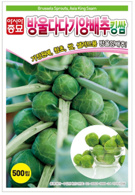 아시아종묘 방울 다다기 양배추 킹쌈 씨앗 500p, 1개