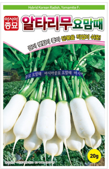 아시아종묘 요맘때 알타리무 씨앗 20g, 1개