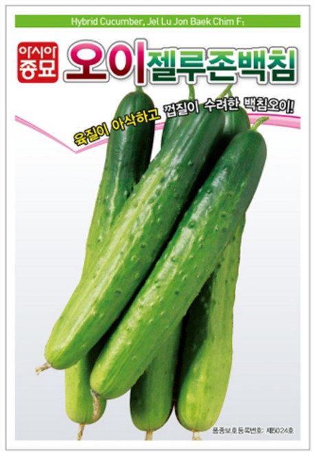 아시아종묘 젤루존백침 오이 씨앗, 1개