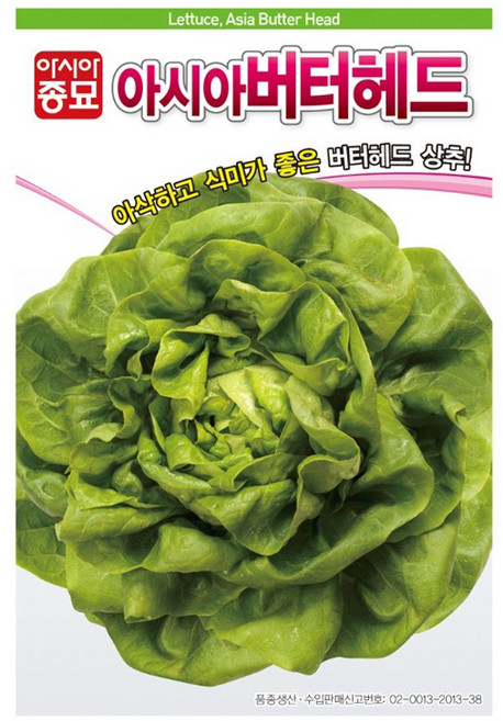 아시아종묘 아시아버터헤드 상추 씨앗 100p, 1개