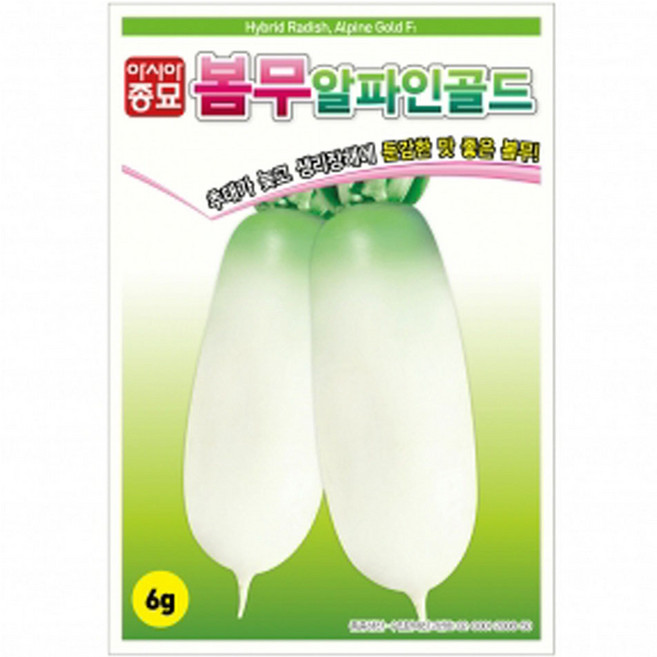 아시아종묘 봄무 알파인골드 씨앗 6g, 1개