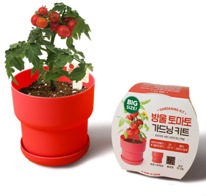 메이크정글 빅 가드닝 키트 식물 키우기, 방울토마토
