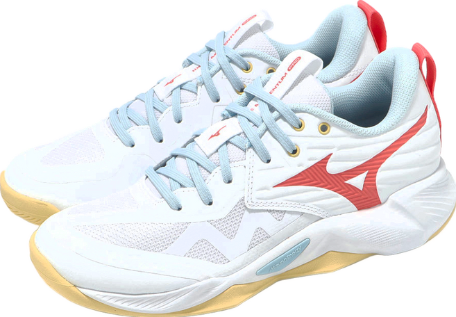 Mizuno 美津濃 WAVE MOMENTUM PRO 女排球鞋 V1GC254035