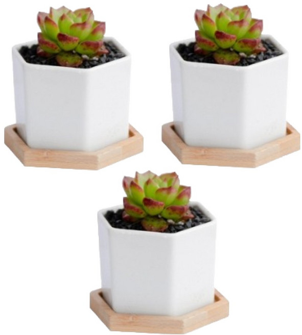 그린허그 세라믹 다육이 화분 + 받침 세트 육각, 3개