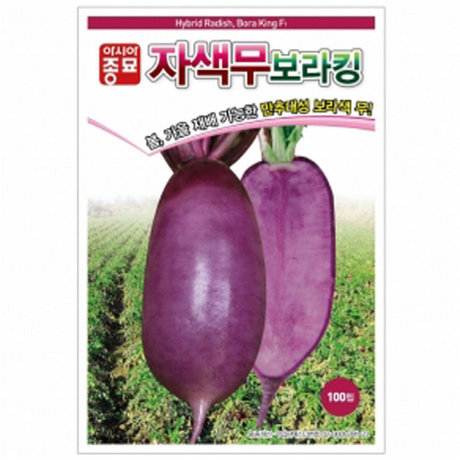 아시아종묘 무 보라킹 씨앗 100p, 1개