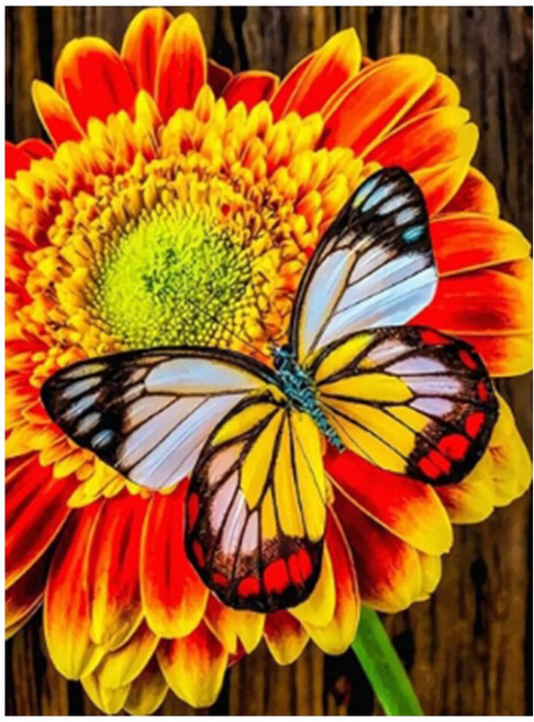 탑피아 알록달록 DIY보석십자수 20 x 30 cm, DAIK-1784, 1개