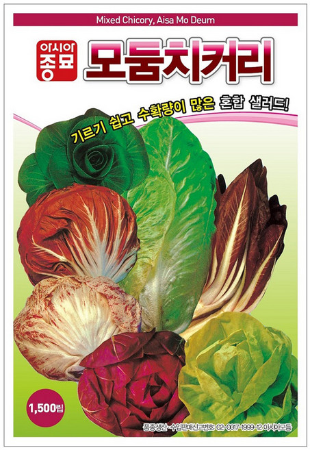 아시아종묘 모둠치커리 씨앗 1500p, 1개