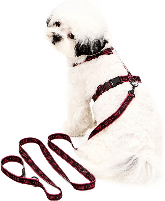 키니키니 반려동물 XT1 시그니처 로고 리드줄, 블랙, 1개