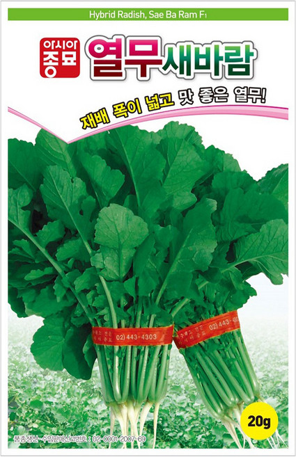 아시아종묘 열무 새바람 씨앗 20g, 1개