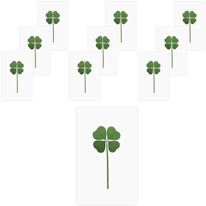 럭키심볼 행운의 네잎클로버생화 투명코팅카드 스탠다드, 10개