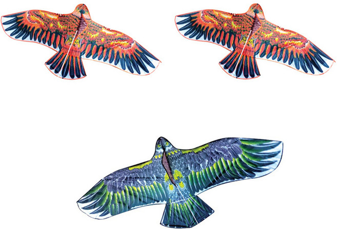 傳統大型老鷹風箏3入組 隨機出貨, 1套