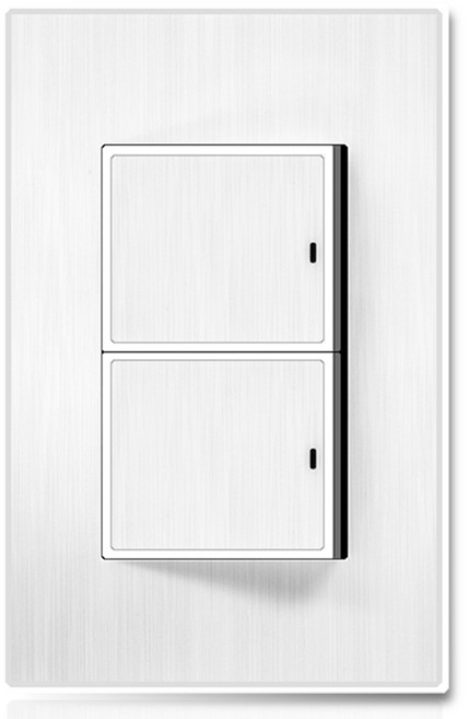 일신전기 챠밍 나이스 화이트 2구 1로 스위치, 1개