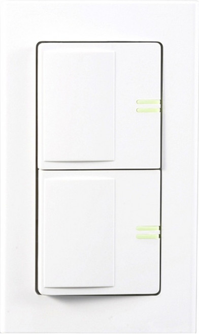 일신전기 블루밍 나이스 2구 1로 스위치, 1개