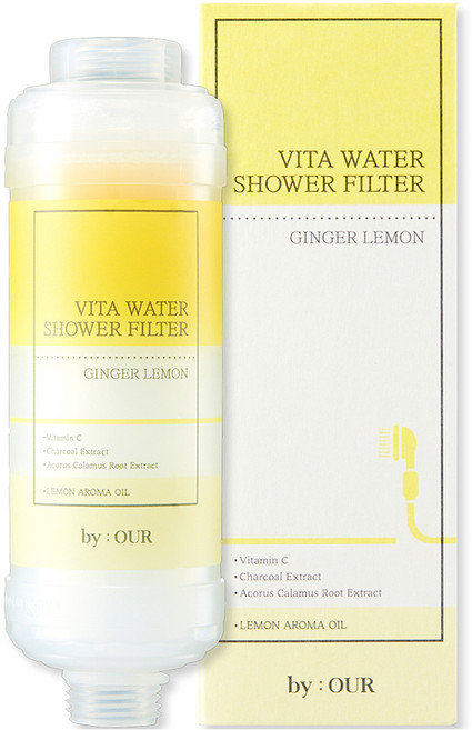 바이아우어 더 안심 비타민 샤워필터, 1개, 진저레몬향