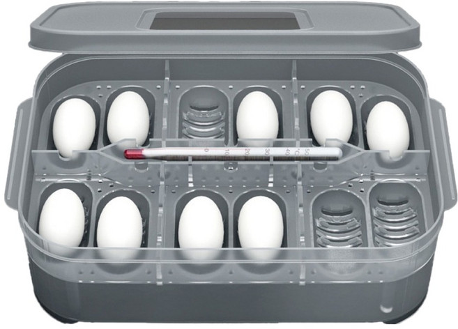 레몽크리프 파충류 부화기, 혼합색상, 1개