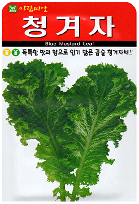 아람종묘 청겨자 씨앗, 1개