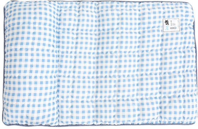 이츠독 반려동물 인견 프리미엄 쿨링 매트, 체크블루, 1개