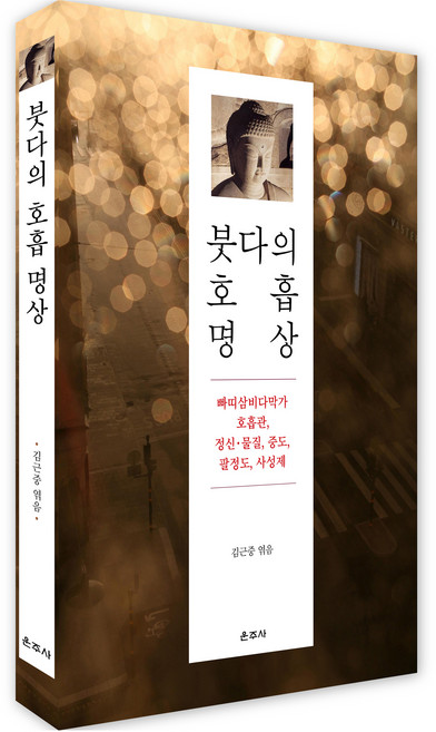 붓다의 호흡 명상:빠띠삼비다막가 호흡관 정신·물질 중도 팔정도 사성제, 김근중, 운주사