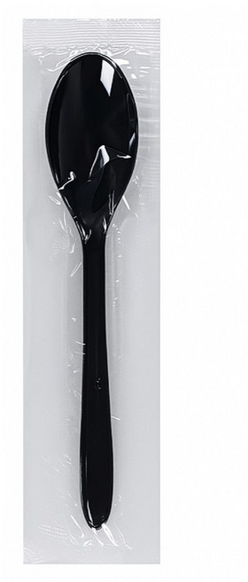 이로울생활 일회용 스푼 블랙, 100개, 1개입