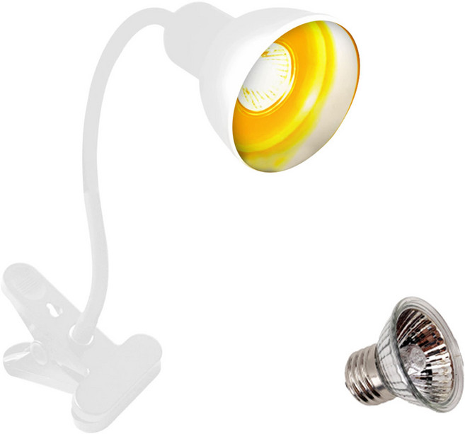 아마존 파충류 양서류 할로겐 클립타입 조명 + 램프 세트 25W AMZ-C07, 화이트, 1세트