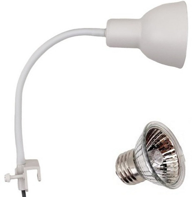 아마존 파충류 양서류 할로겐 거치타입 조명 + 램프 세트 25W AMZ-C06, 화이트, 1세트