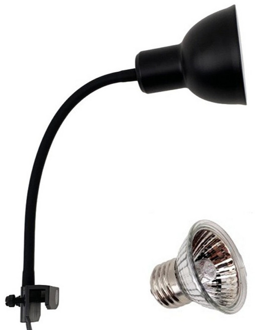 아마존 파충류 양서류 할로겐 거치타입 조명 + 램프 세트 25W AMZ-C06, 블랙, 1세트