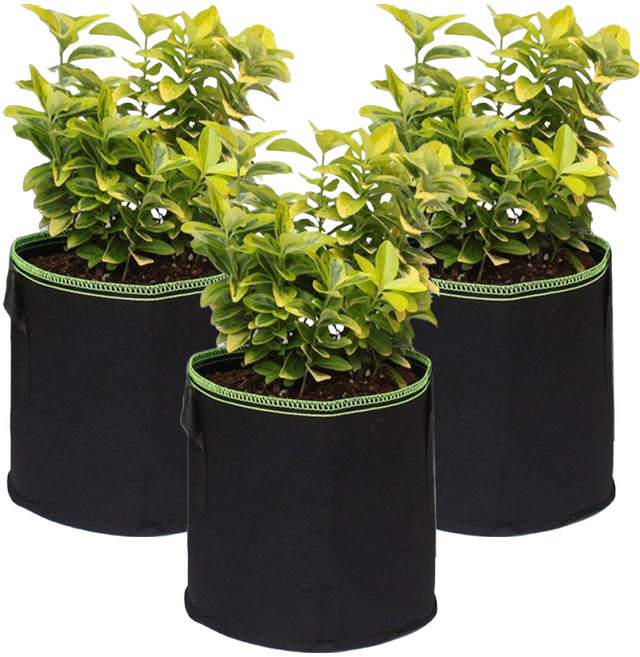 파파가든 부직포화분 20L, 블랙(녹색 박음질), 3개