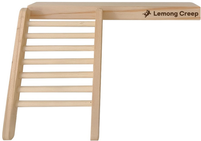 레몽크리프 편백나무 백업 30cm + 사다리 세트, 네추럴, 1세트