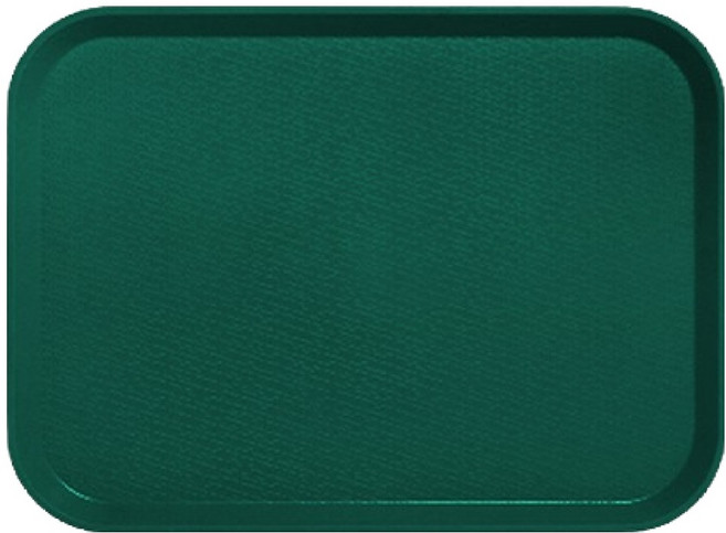 리빙메이트 국산 컬러 트레이, 셔우드 그린, 1개