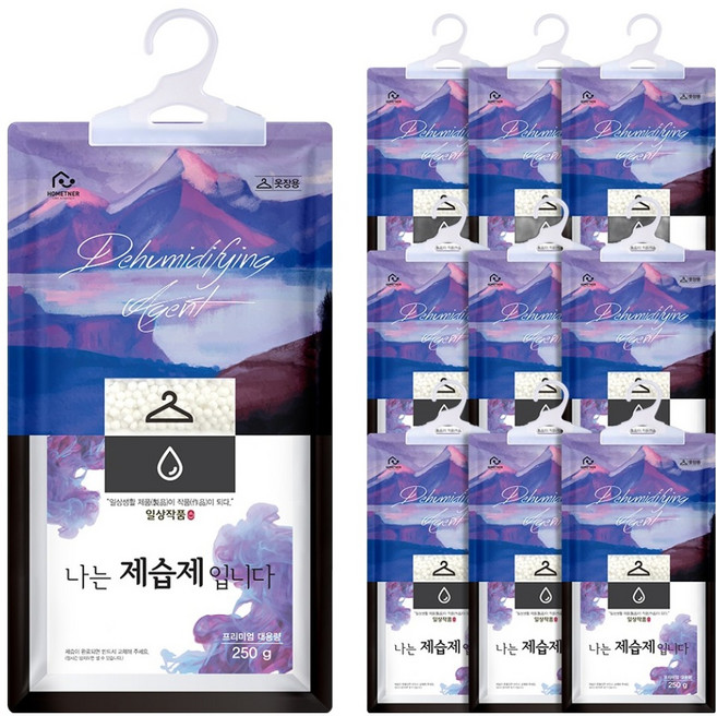 홈트너 나는 제습제 입니다 옷장용 본품, 250g, 10개