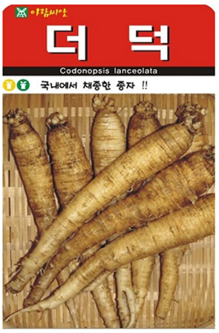 아람종묘 더덕 씨앗, 1개