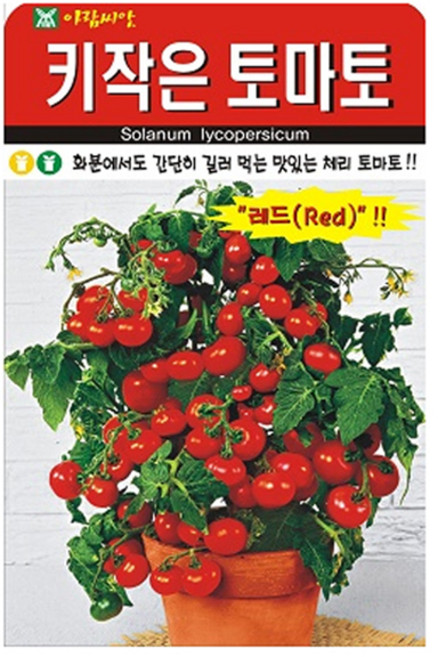 아람종묘 키작은토마토 씨앗, 1개