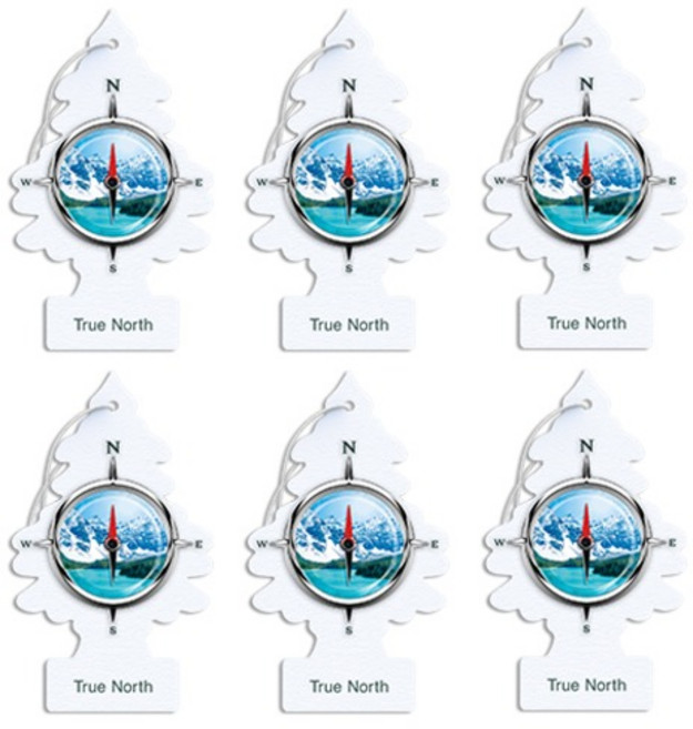 리틀트리 종이 차량용 디퓨저 5g, 6개, 트루 노쓰