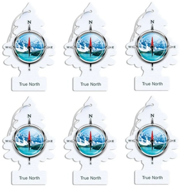 리틀트리 종이 차량용 디퓨저 5g, 6개, 트루 노쓰 - 쿠팡