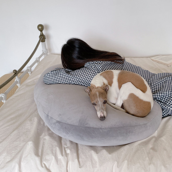 앤더라인 대형 쫀득 말랑 츄이 소파 쿠션, 그레이