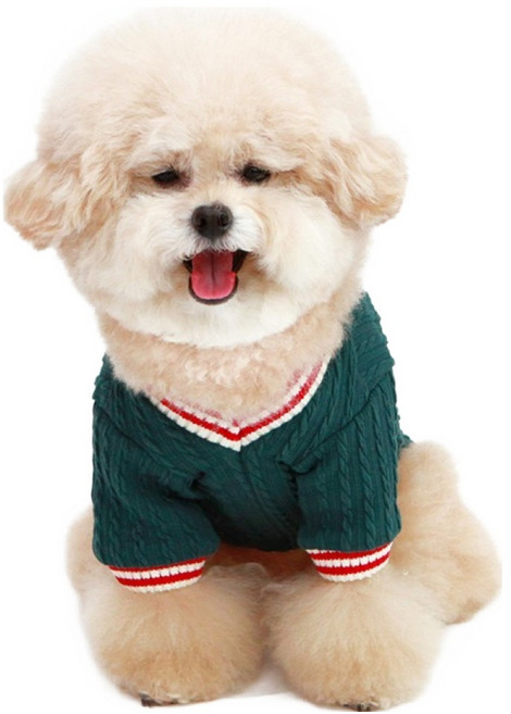 키니키니 강아지 트위스트 브이넥 니트 반팔티, 그린, 1개