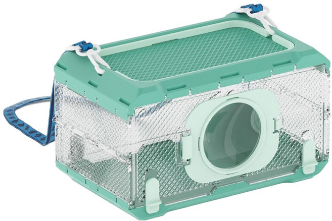 랜보어 컬러 돋보기 접이식 채집통, 그린, 1개