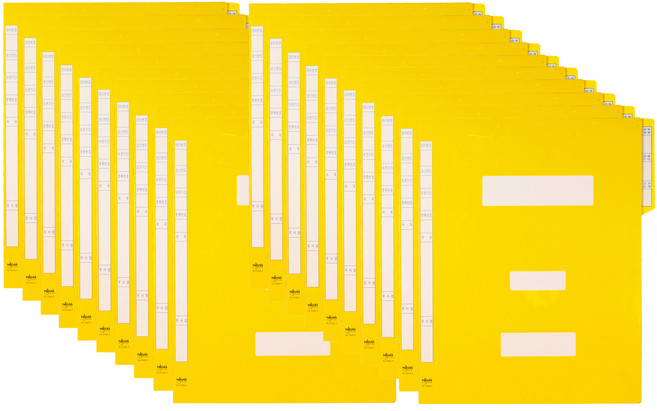 마이다스 PP 칼라 지네발 A4 정보화일, 노랑색, 20개