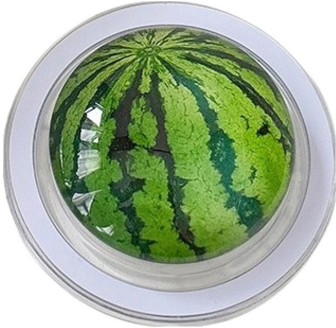 케이스틱 맥세이프 과일 자석 스마트톡, 수박, 1개