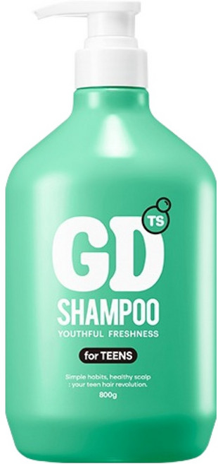 TS 지디 샴푸 빅, 800g, 1개