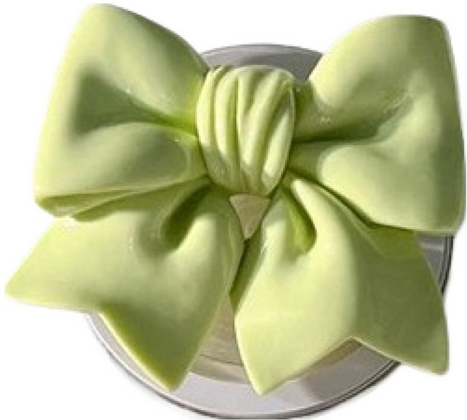 케이스틱 멕세이프 스마트톡 빅리본, 그린, 1개