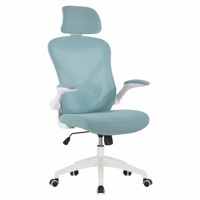 E-home Arno 亞諾網布可旋轉扶手高背電腦椅 EFC110A-bl, 藍色