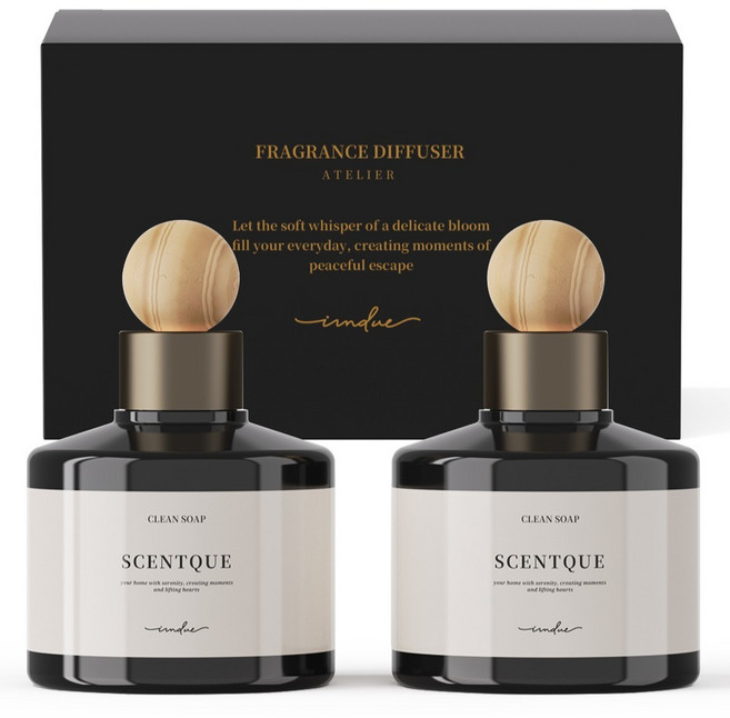 아이엠듀 프리미엄 퍼퓸 차량용 디퓨저 200ml 본품, 클린솝, 2개